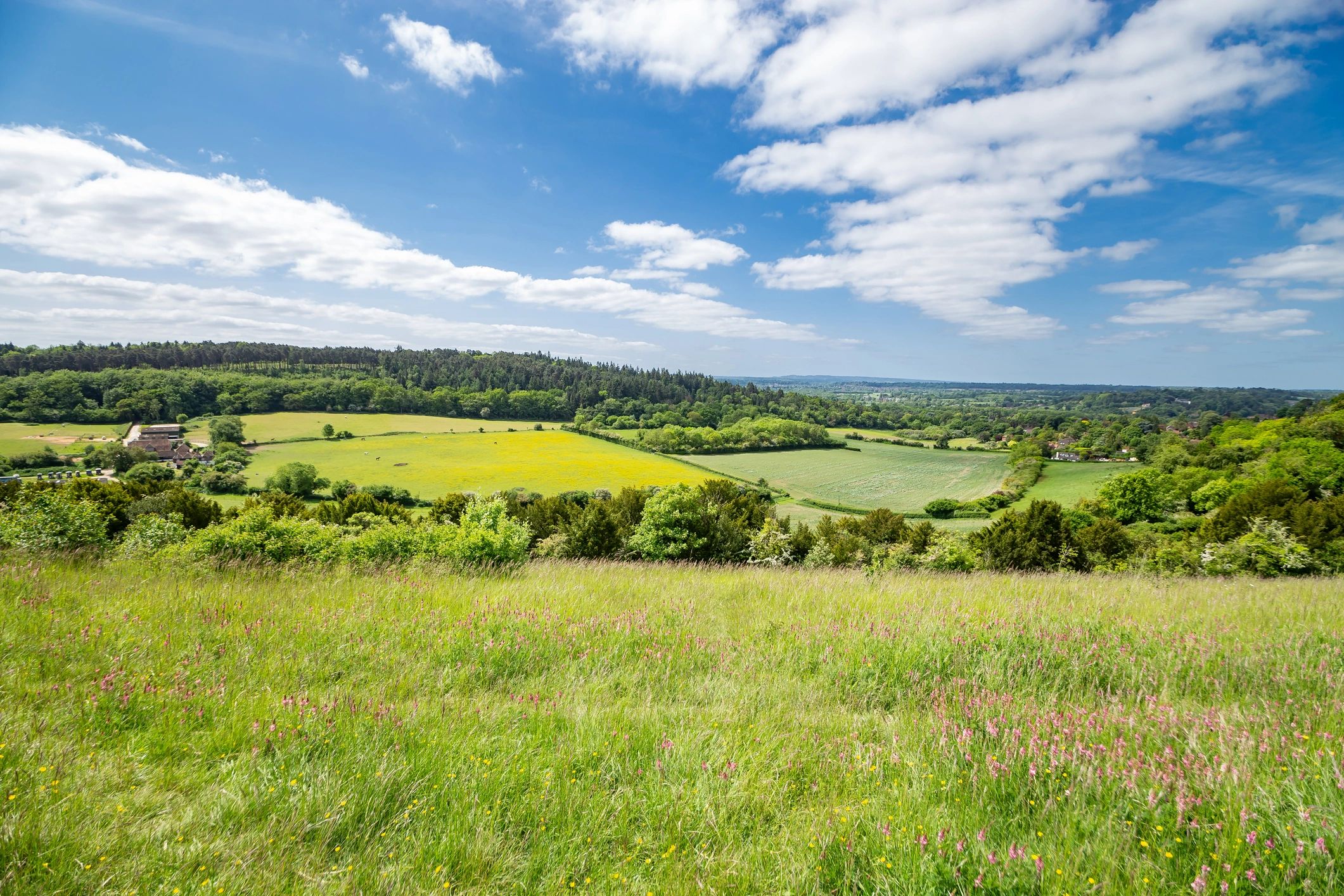 Surrey Hills countryside landscape